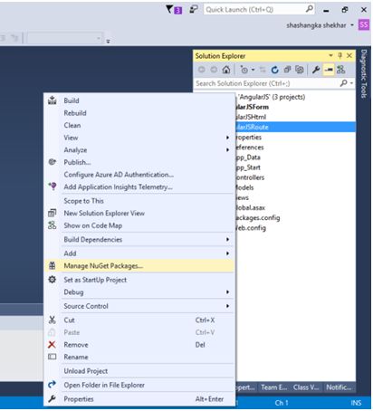 Manage newget package